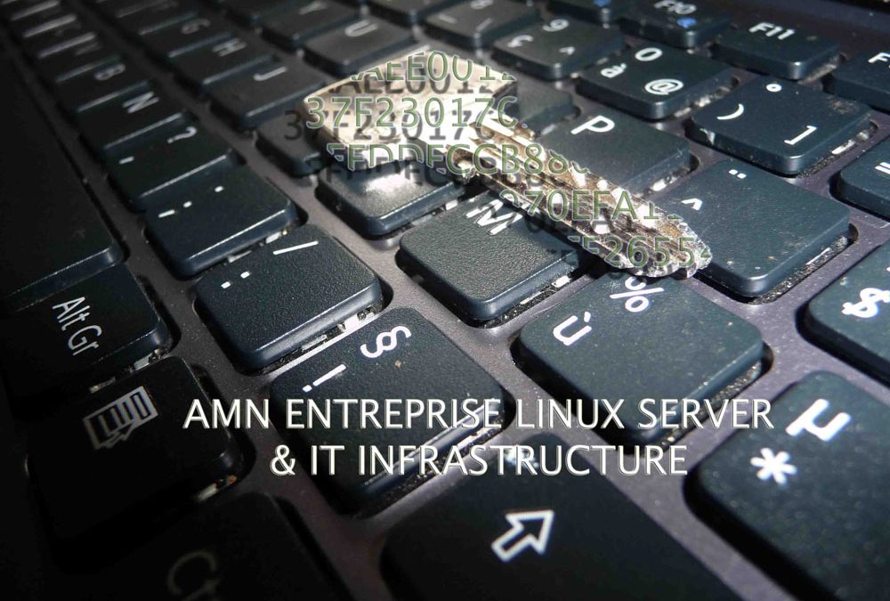 Enterprise Secured Servers