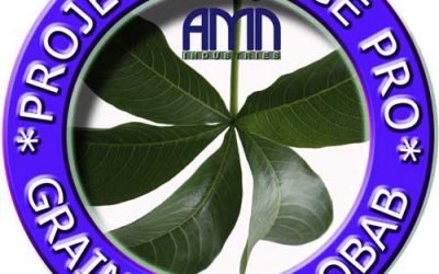 AMN Group Innovation and Sustainable Development